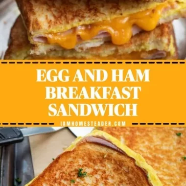 Delicious Egg and Ham Breakfast plate with eggs, ham, and garnishes