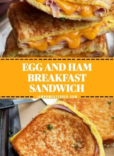 Delicious Egg and Ham Breakfast plate with eggs, ham, and garnishes