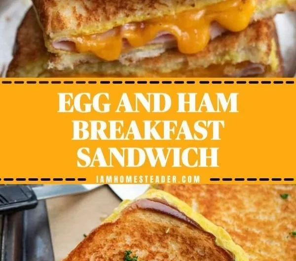 Delicious Egg and Ham Breakfast plate with eggs, ham, and garnishes