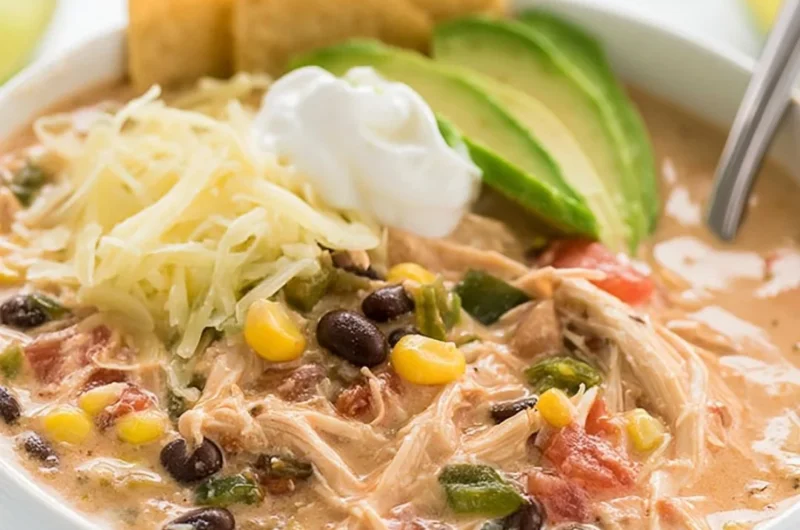Creamy Tex Mex shredded chicken slow cooker recipe